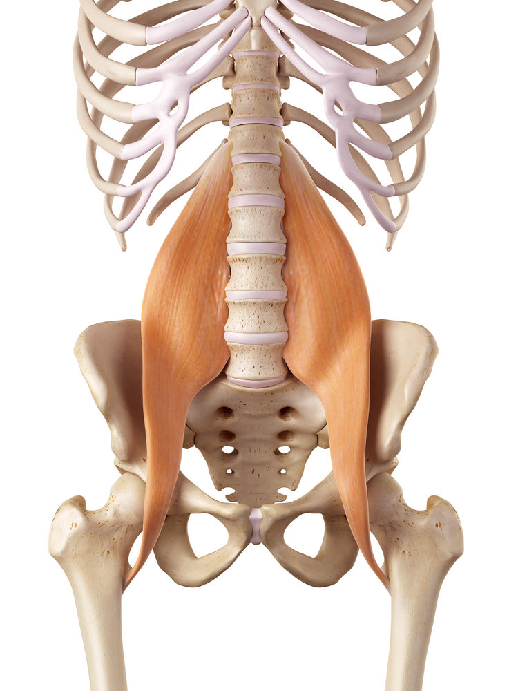 Psoas Constructive Rest Greenwood Physical Therapy